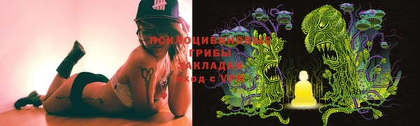 apvp Бородино