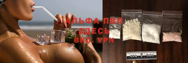 apvp Бородино