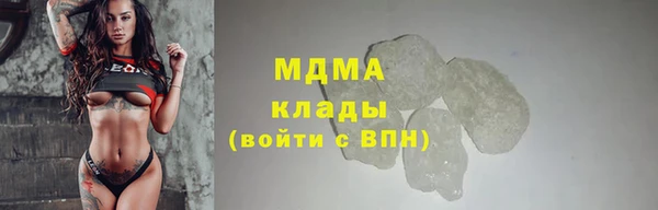 apvp Бородино