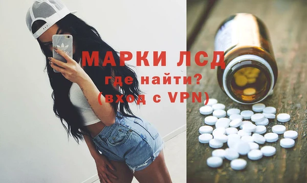 apvp Бородино